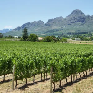 4 night stay for 2 people at Demo