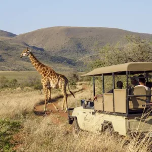 4 night stay for 2 people at Demo Resort